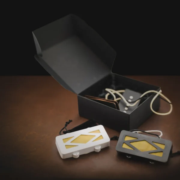 Jazzmaster Sized Gold Foil Handwound in Sweden Europe